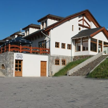 Imagini Restaurant Villa Vitae