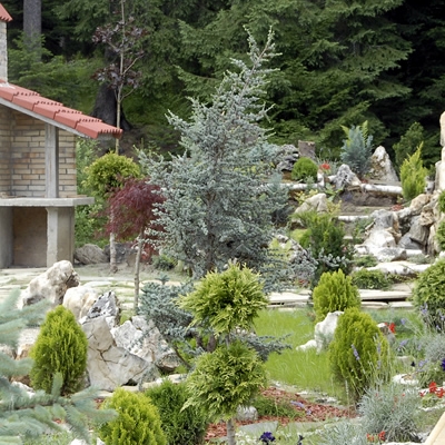 Restaurant Cabana Schiorilor