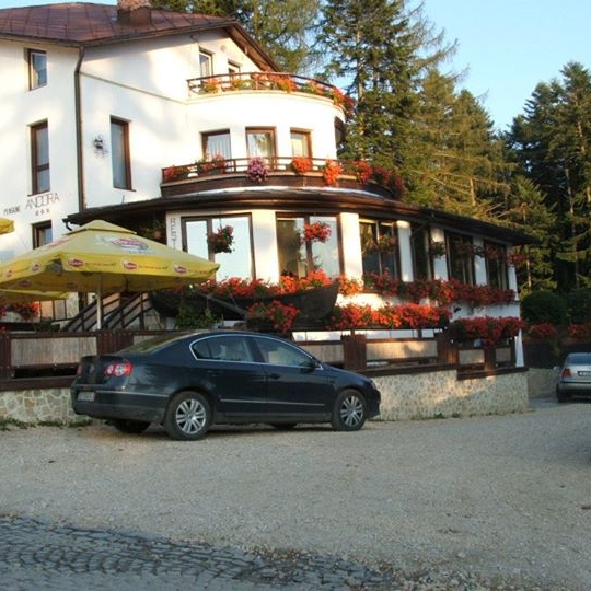 Imagini Restaurant Ancora