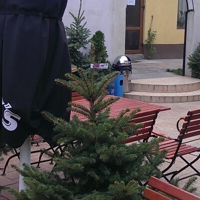 Restaurant Il Padrino foto 2