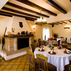 Restaurant Hanul Dracula foto 1