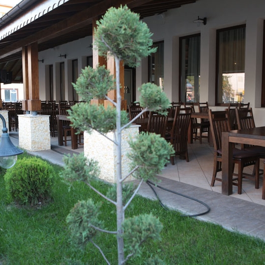 Imagini Restaurant Vatra