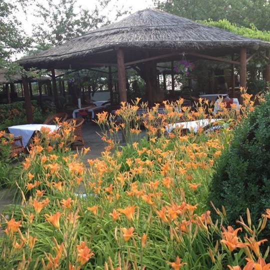 Imagini Restaurant Cherhana