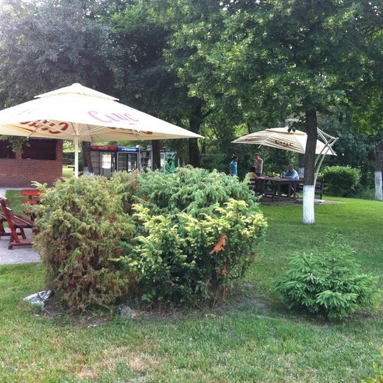 Imagini Restaurant Terasa RustiQ