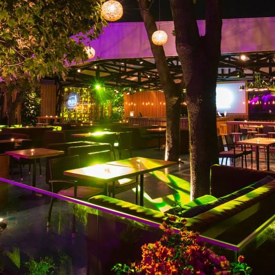 Imagini Restaurant Tapo