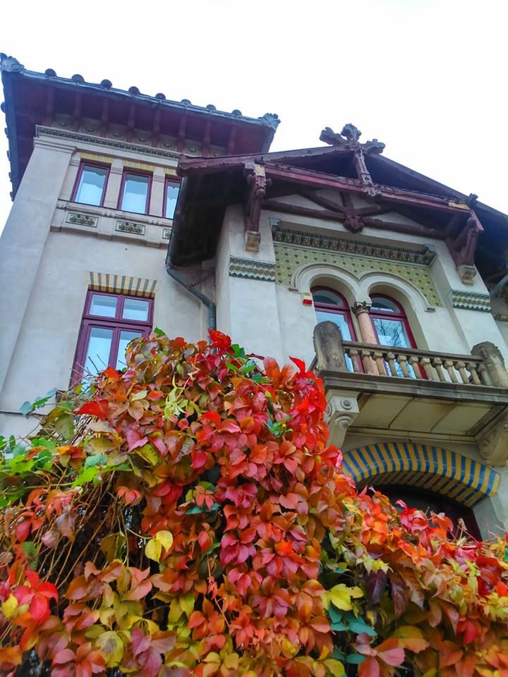 Imagini Restaurant Radu House