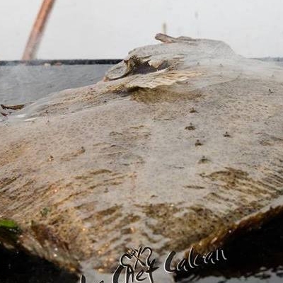 Restaurant Le Chef Calcan