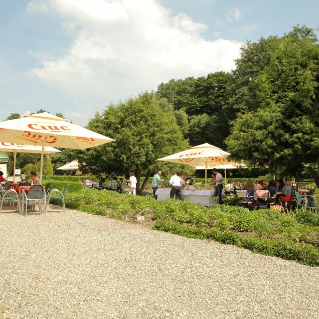 Imagini Restaurant Palatul Brukenthal