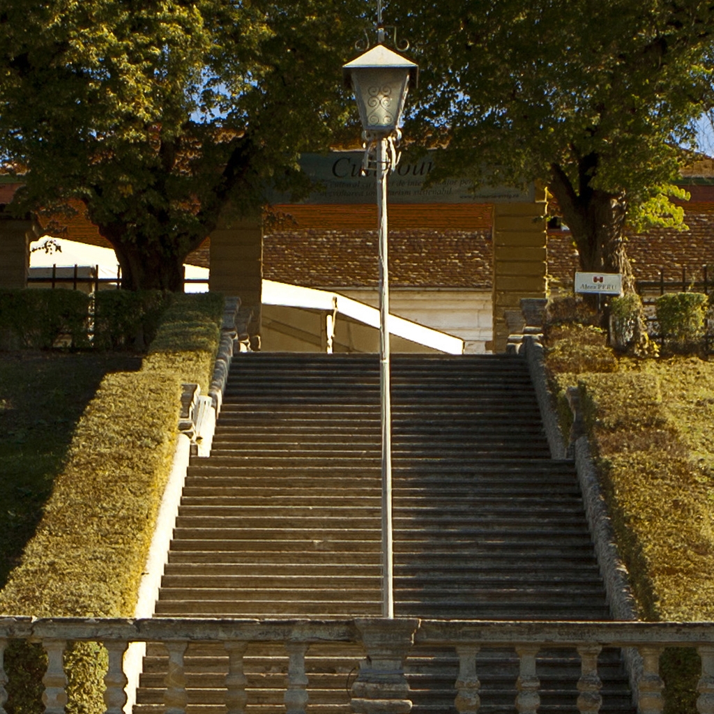 Imagini Restaurant Palatul Brukenthal