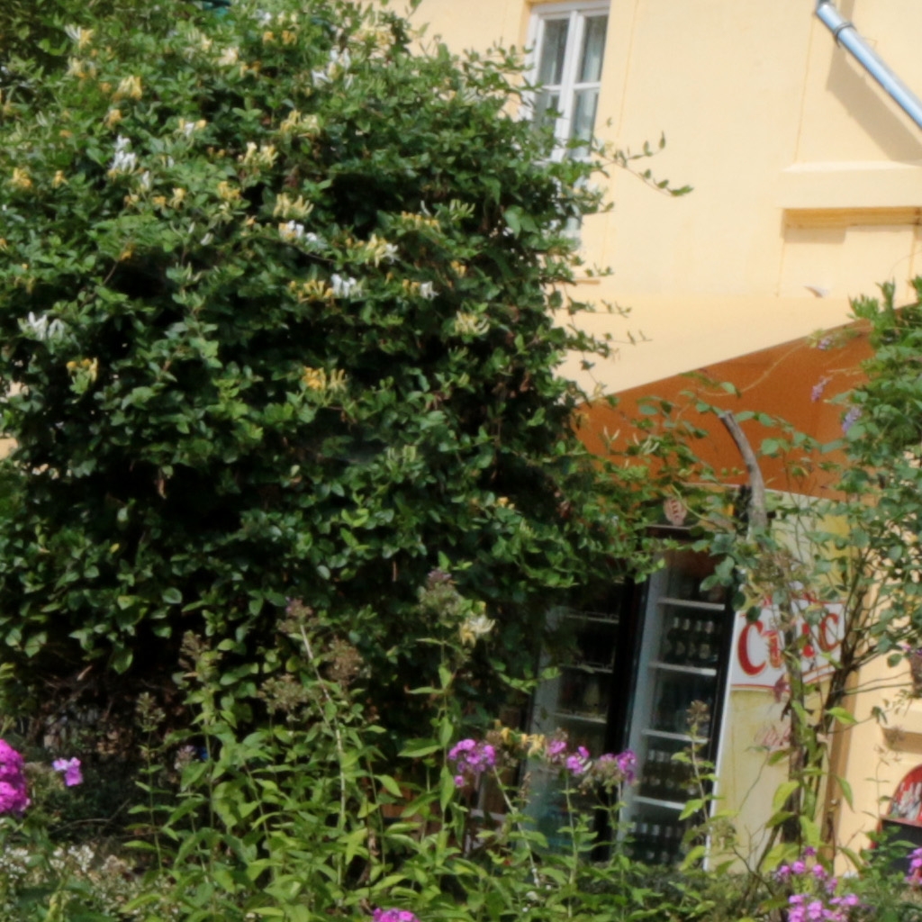 Imagini Restaurant Palatul Brukenthal