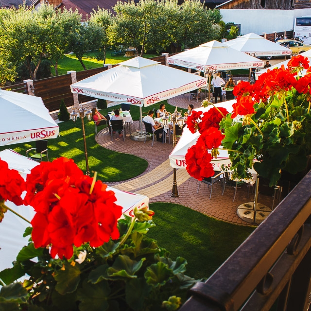 Imagini Restaurant Flamingo