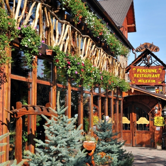 Imagini Restaurant Milexim