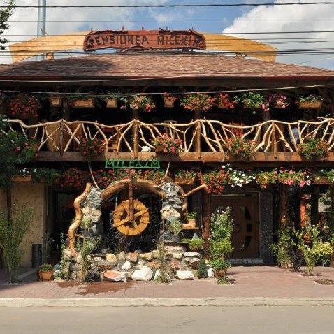 Imagini Restaurant Milexim