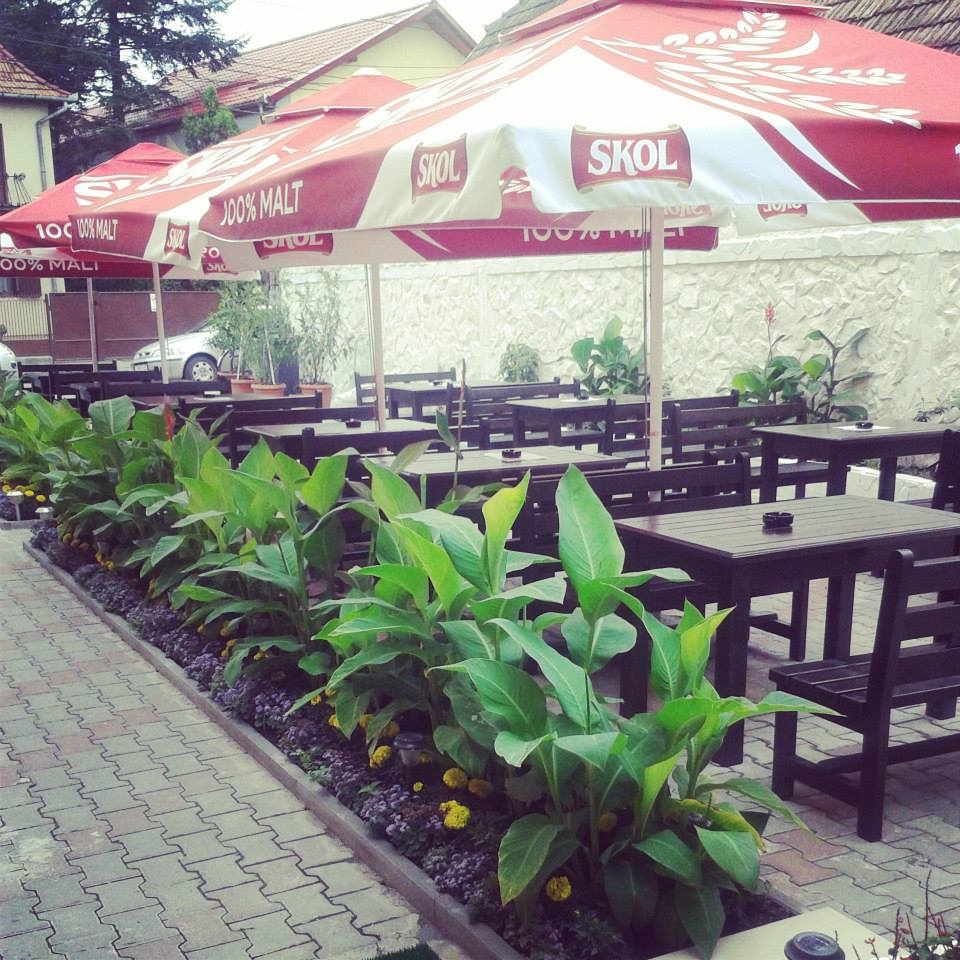 Imagini Restaurant La Fiesta