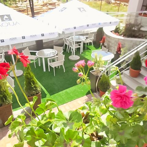 Imagini Restaurant Dorna