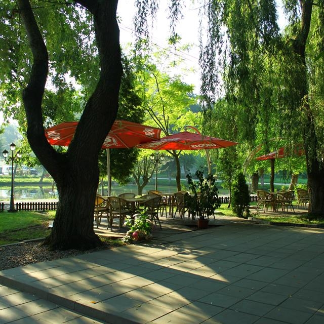 Imagini Restaurant Fântânița Crăiesei