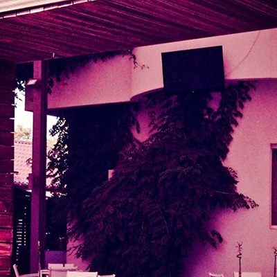 Restaurant Tao foto 1