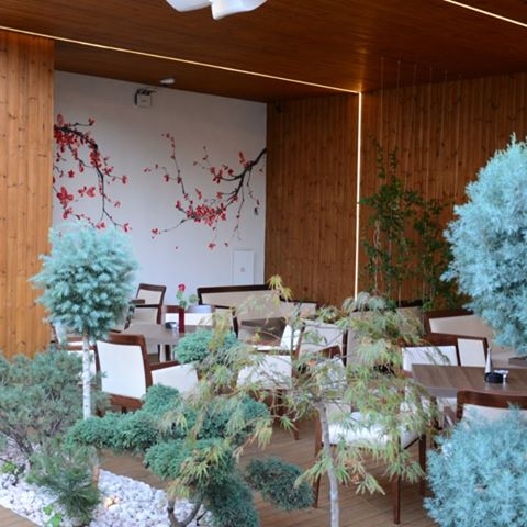 Imagini Restaurant Zenti Plaza