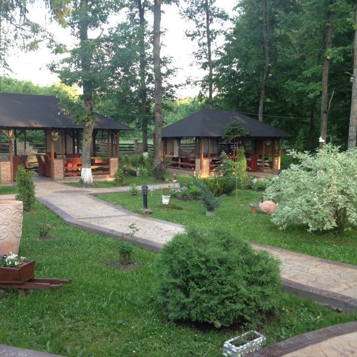 Imagini Restaurant Caprioara