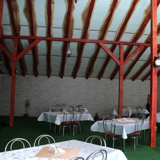 Imagini Restaurant Domnita