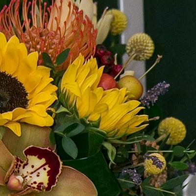 Restaurant Gradinita