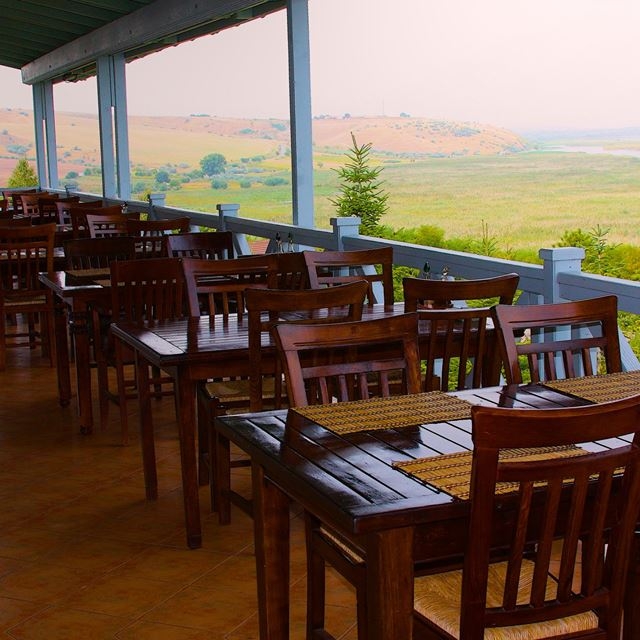 Imagini Restaurant Feathers