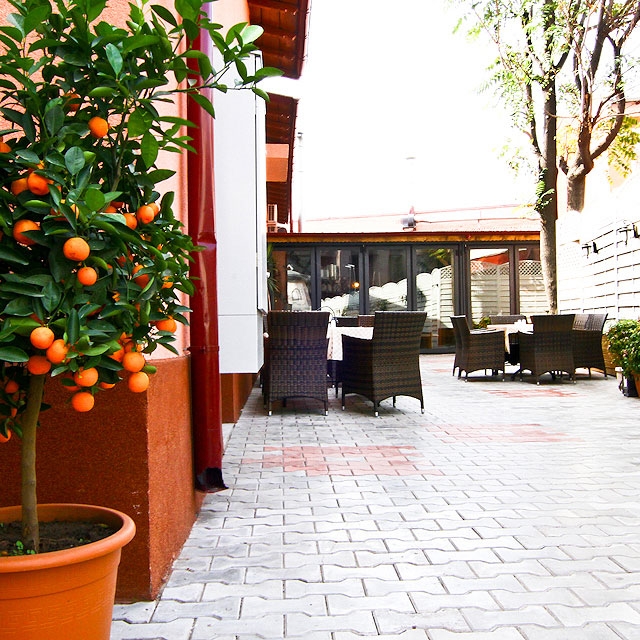 Imagini Restaurant Il Mulino