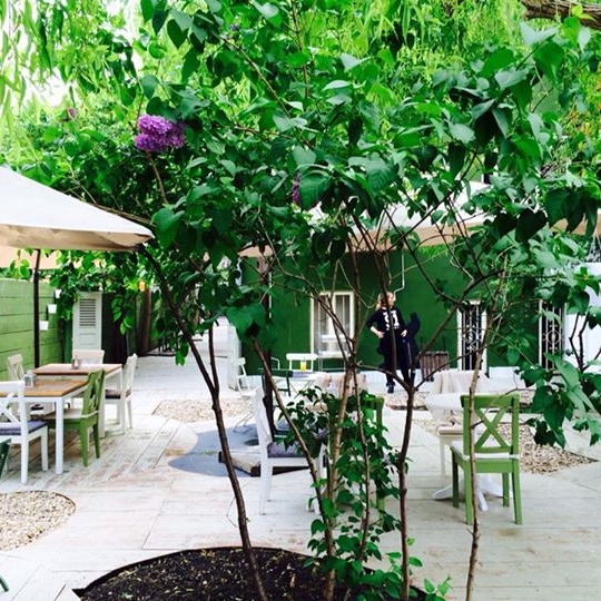 Imagini Restaurant Yardini