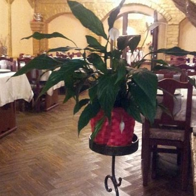 Restaurant Can foto 1