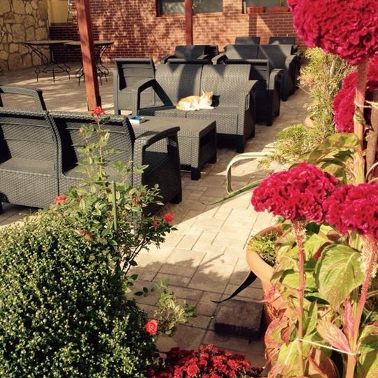 Imagini Restaurant Noa