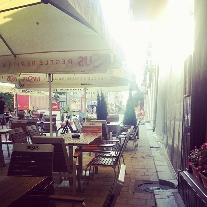 Imagini Bar/Pub Tomis