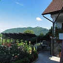 Imagini Restaurant Stejeris