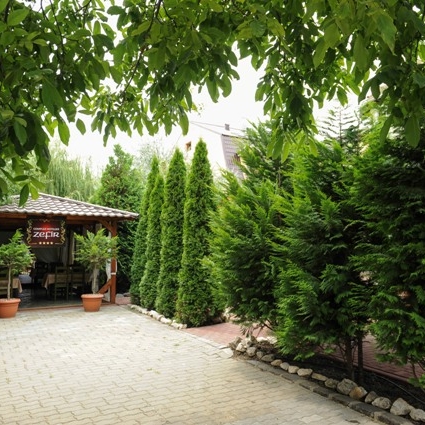Imagini Restaurant Zefir