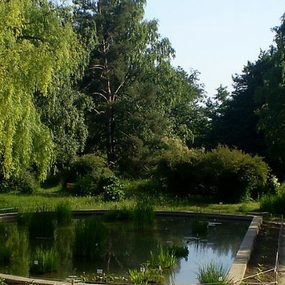  Gradina Botanica „Anastasie Fatu” 