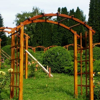  Gradina Botanica „Anastasie Fatu” 