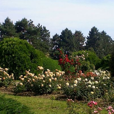  Gradina Botanica „Anastasie Fatu” 