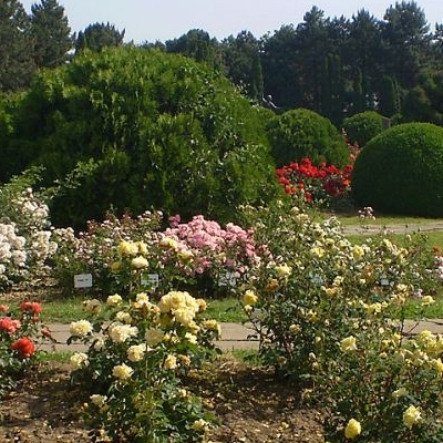  Gradina Botanica „Anastasie Fatu” 