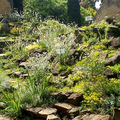  Gradina Botanica „Anastasie Fatu” 