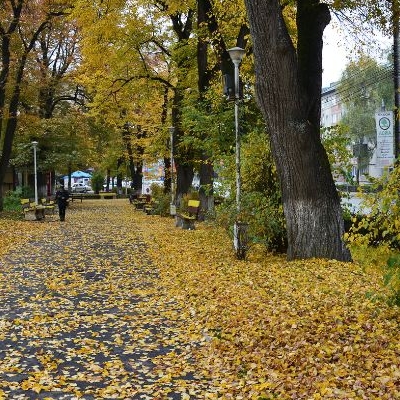  Parcul Trandafirilor