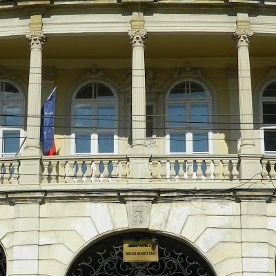 Muzeul de Arta