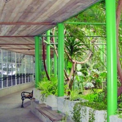  Gradina Zoologica Targu-Mures