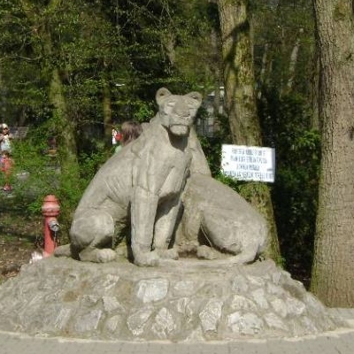  Gradina Zoologica Targu-Mures