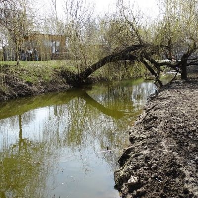  Microrezervatia Naturala Constanta 