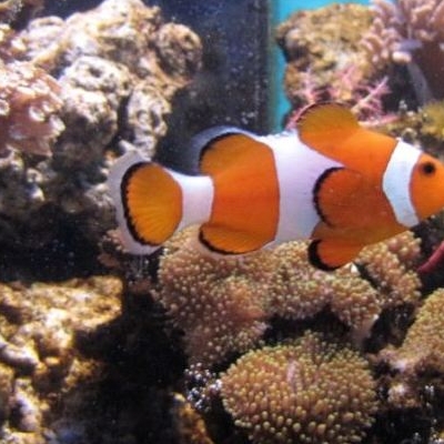  Centrul Ecoturistic Delta Dunarii