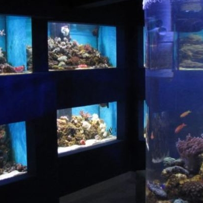  Centrul Ecoturistic Delta Dunarii